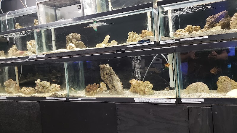 Ken's Aquarium & Pet Supply - Photo 2