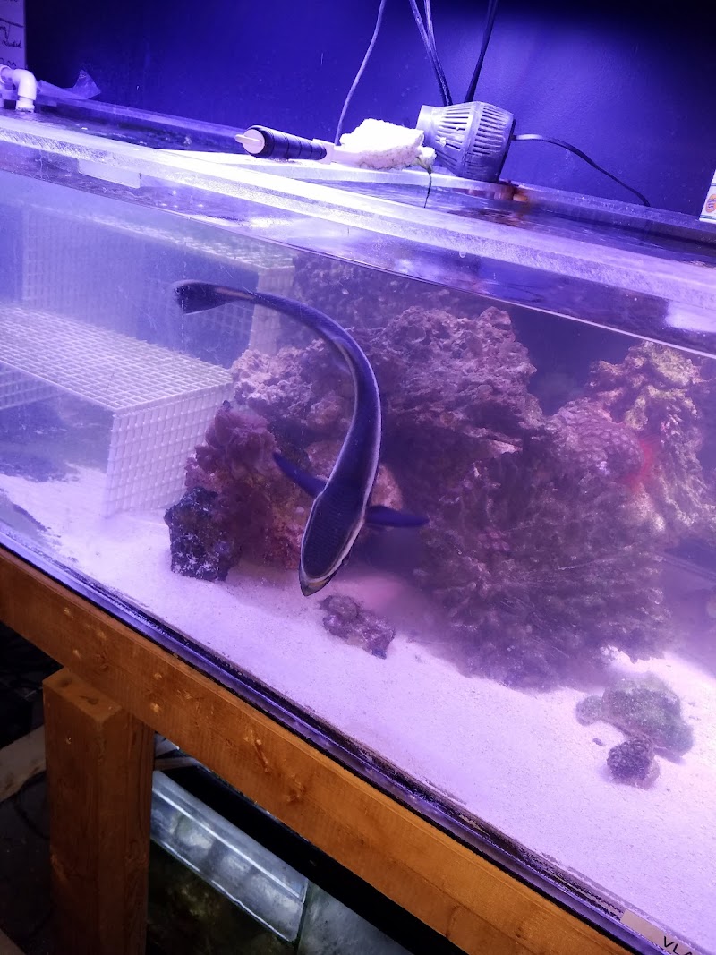 Ken's Aquarium & Pet Supply - Photo 4