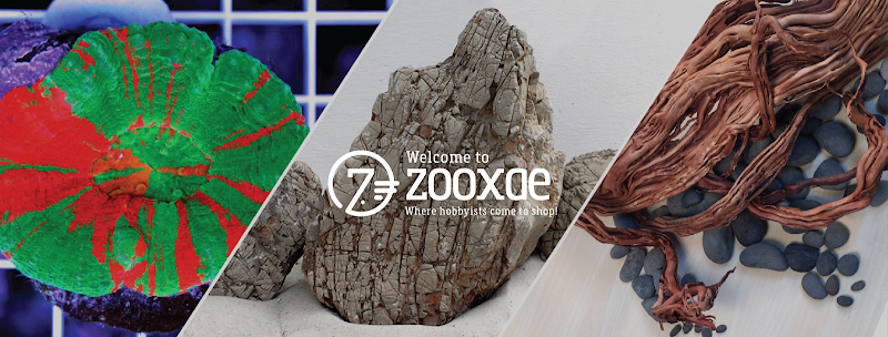 Zooxae - Photo 2