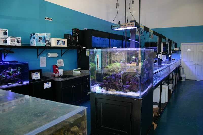 Exotic Aquatics - Photo 2