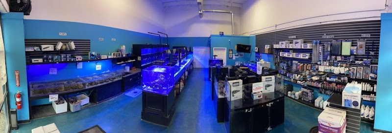 Exotic Aquatics - Photo 3