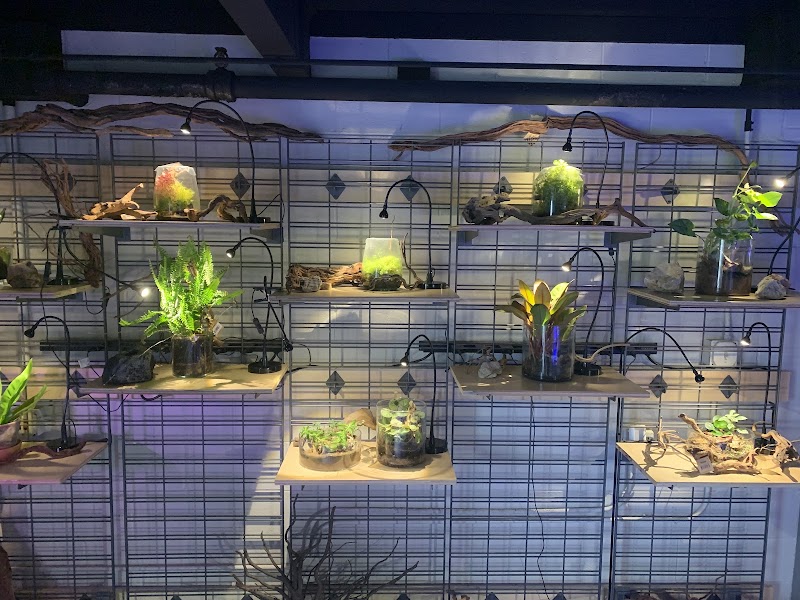 SR Aquaristik - Photo 1