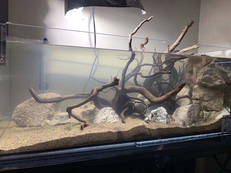 SR Aquaristik - Photo 2