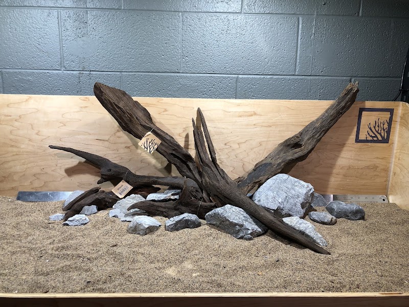 SR Aquaristik - Photo 4