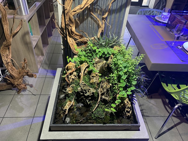 SR Aquaristik - Photo 5