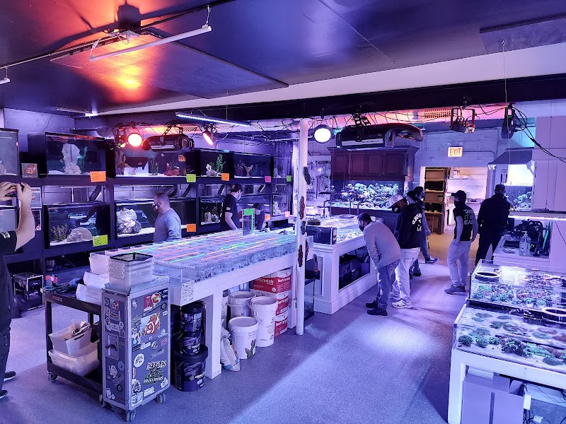 Tank It Easy - Photo 2