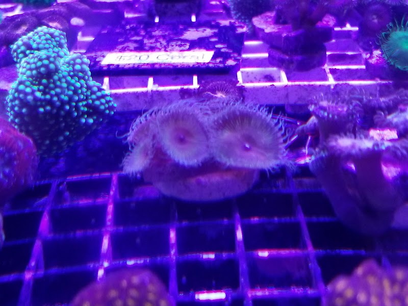 Tank It Easy - Photo 4