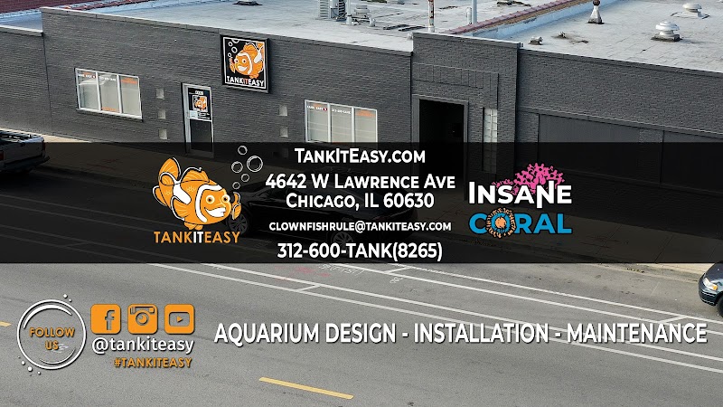 Tank It Easy - Photo 5