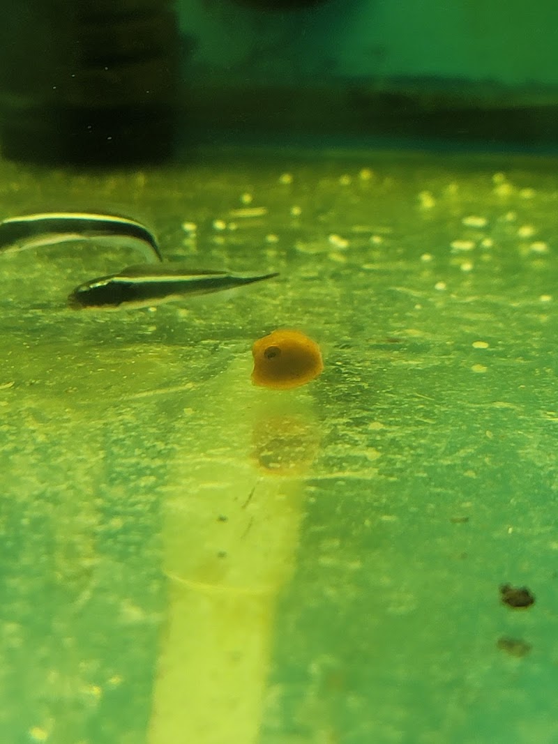 Mermaid's Cove - Photo 1