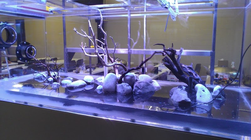Aquariums Done Wright (Aquarium Service) - Photo 1