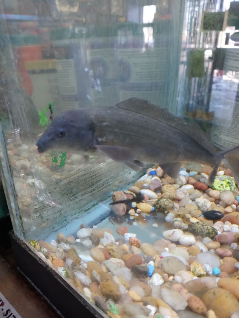 Golden's Tropical World - Photo 2