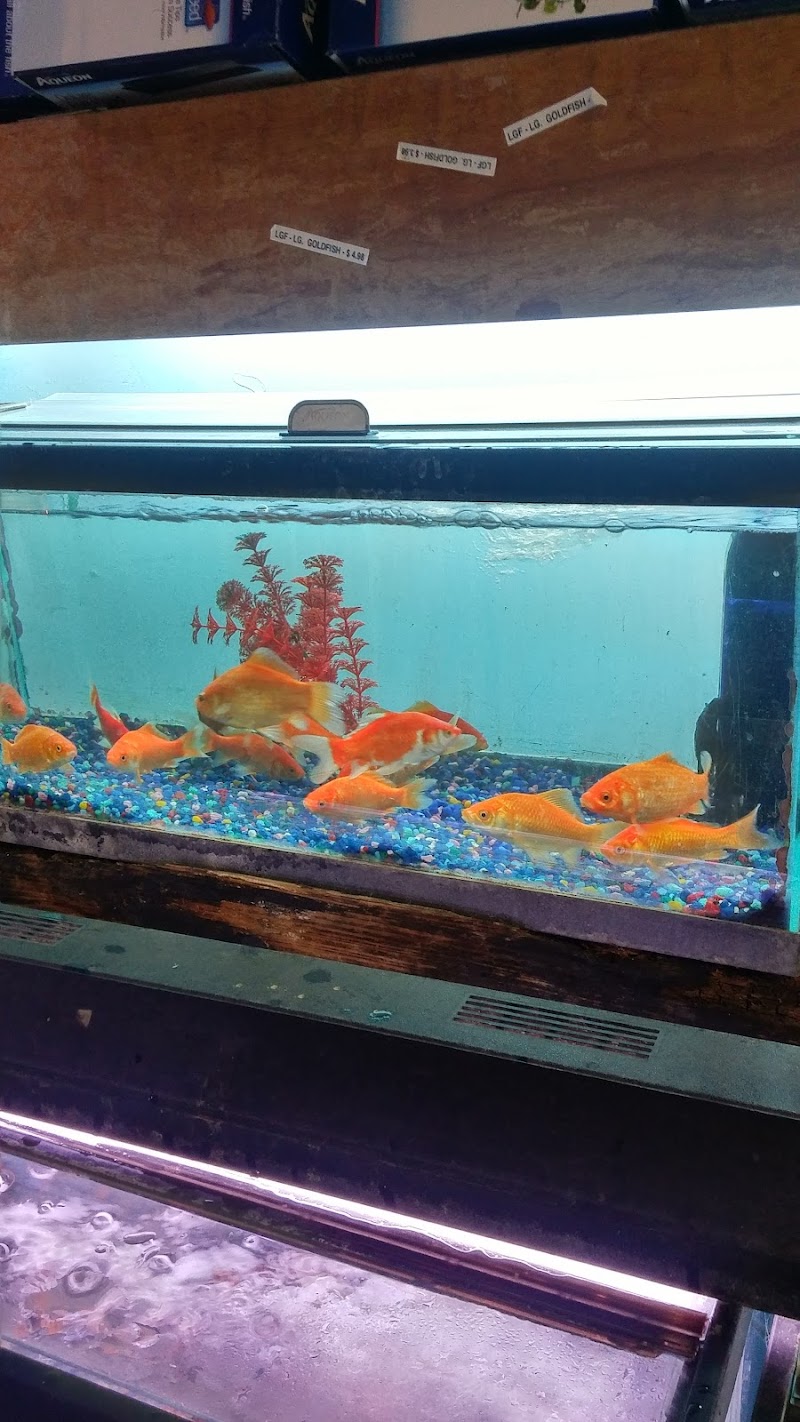 Golden's Tropical World - Photo 4