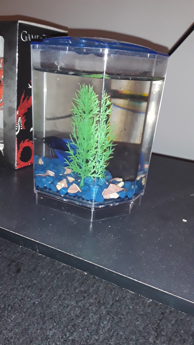 Golden's Tropical World - Photo 5