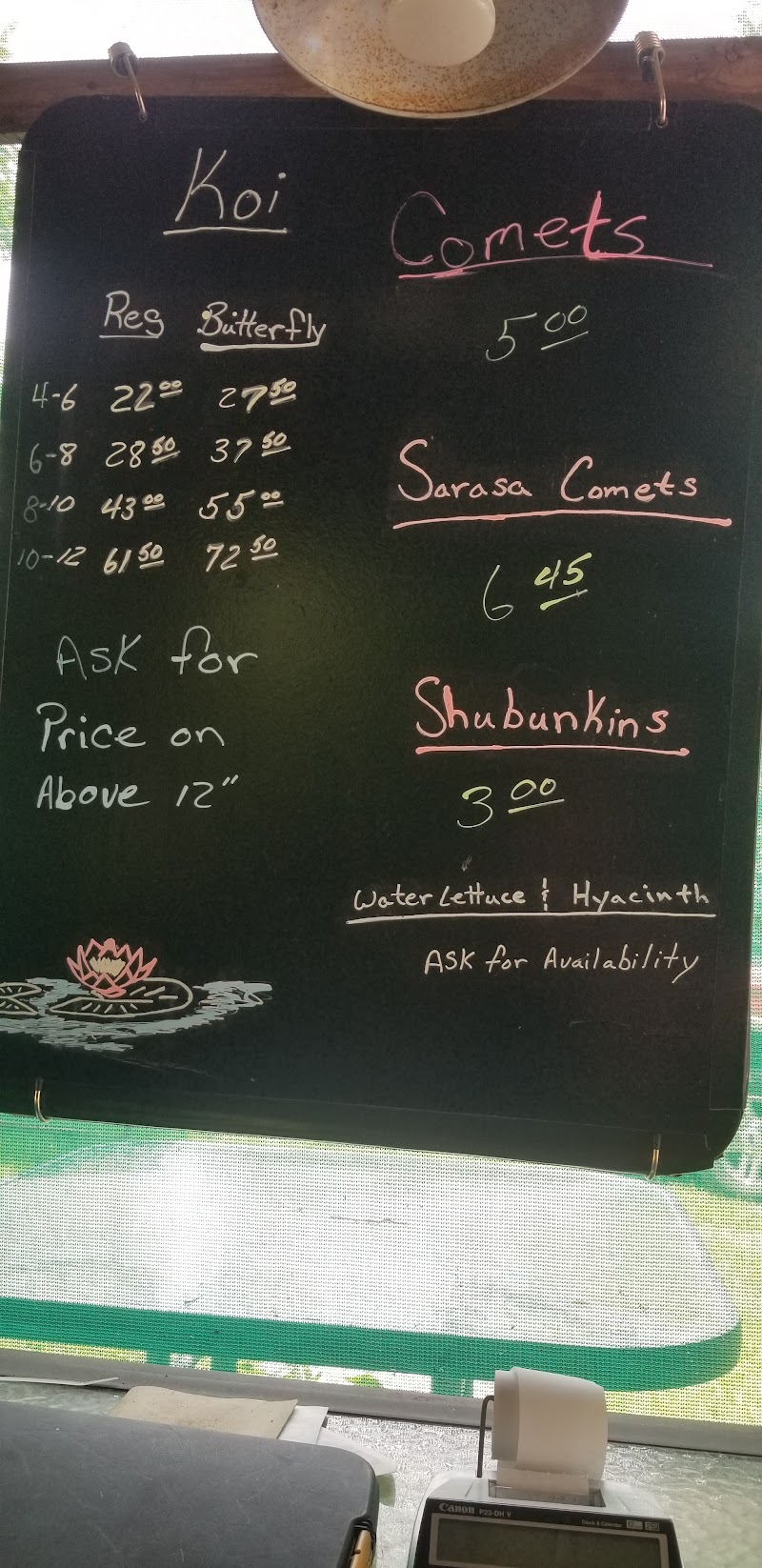 Out Back Water Gardens - Photo 2