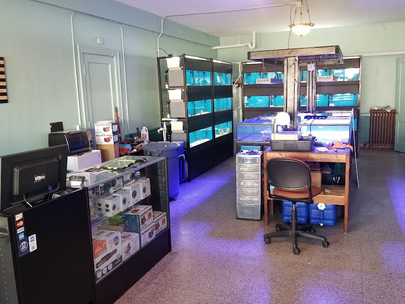 Badgerland Saltwater - Photo 2