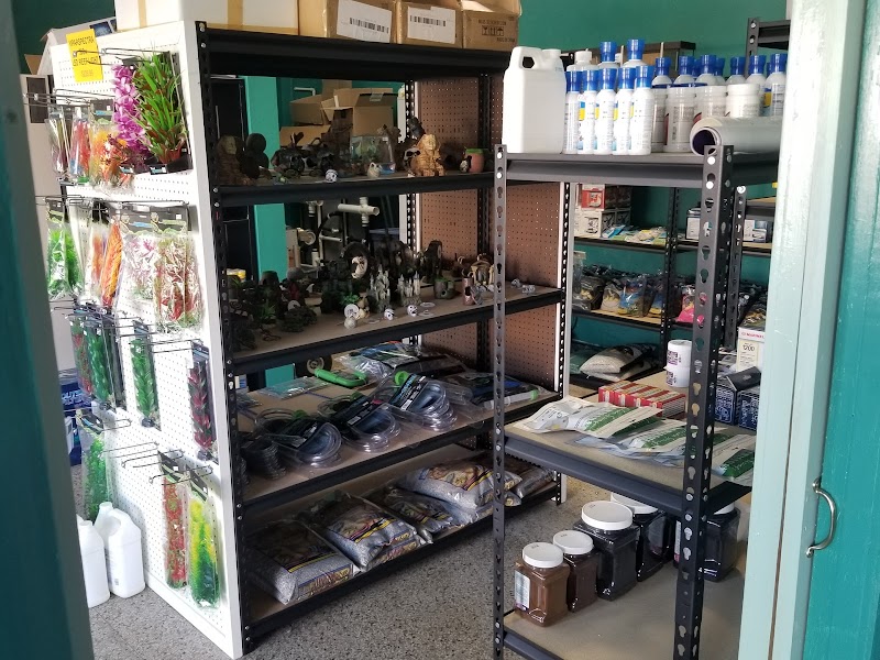 Badgerland Saltwater - Photo 4