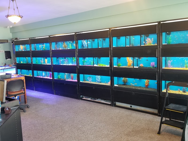 Badgerland Saltwater - Photo 5