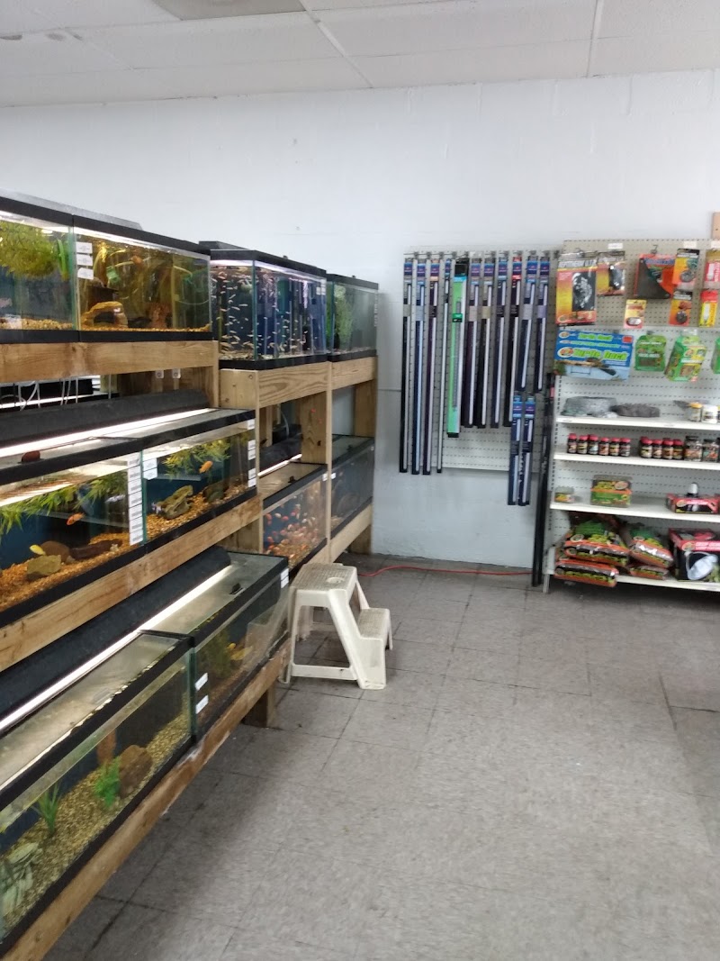 Fish Man Pet Center - Photo 2