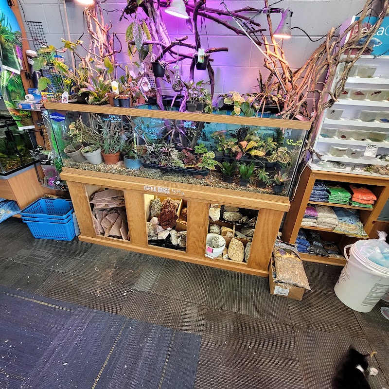 Natures Select of Springfield - Photo 3