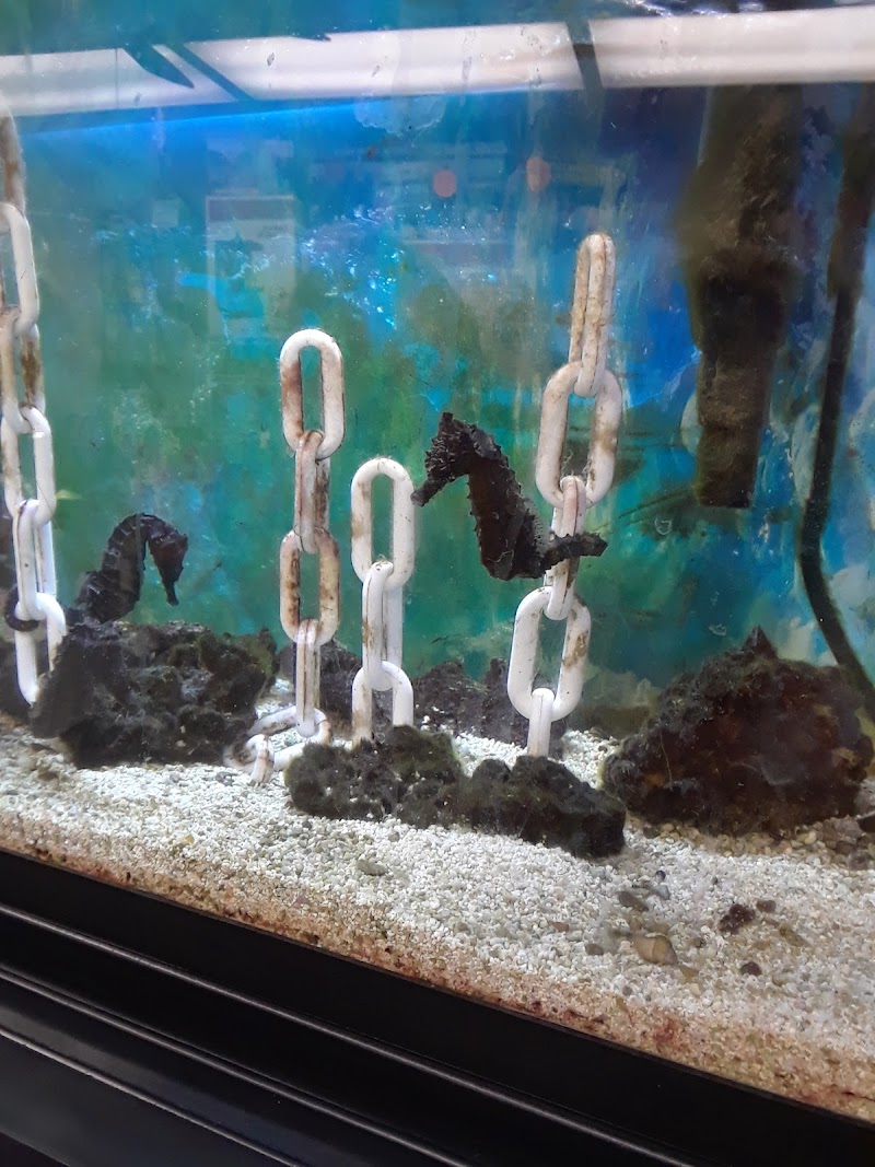 Natures Select of Springfield - Photo 4