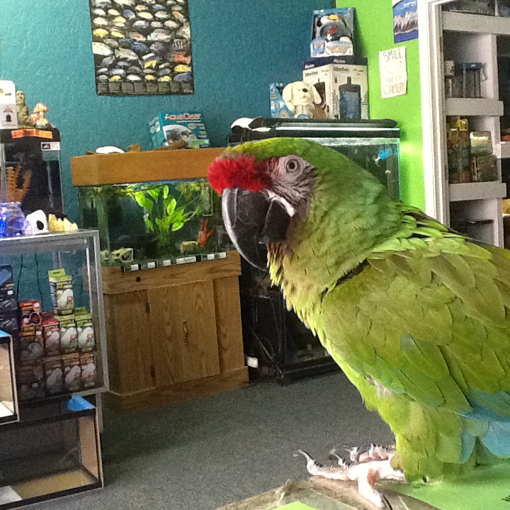 Midwest Tropical Fish llc - Photo 4