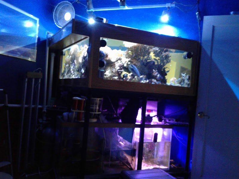 AquaCave - Photo 2