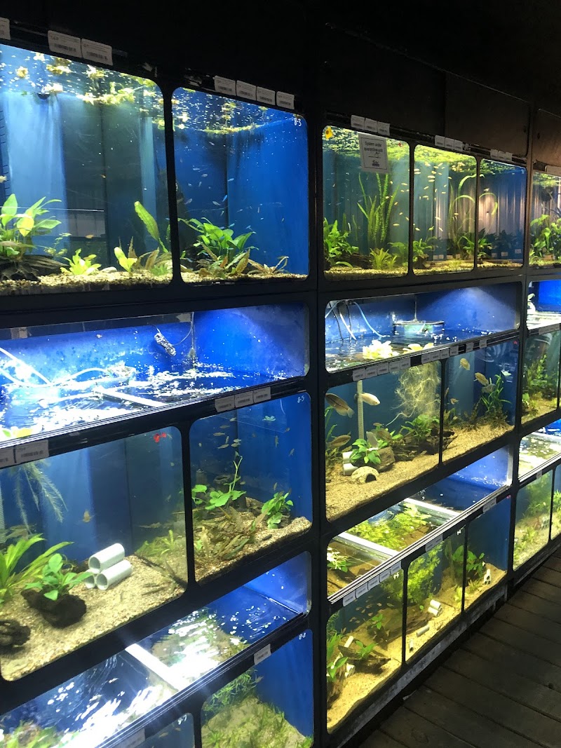 The Reef Aquarium Shop - Photo 3