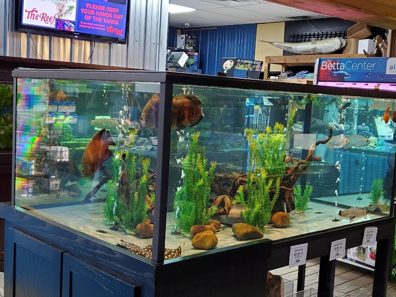 The Reef Aquarium Shop - Photo 5