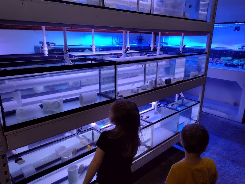 Modern Aquatix - Photo 2