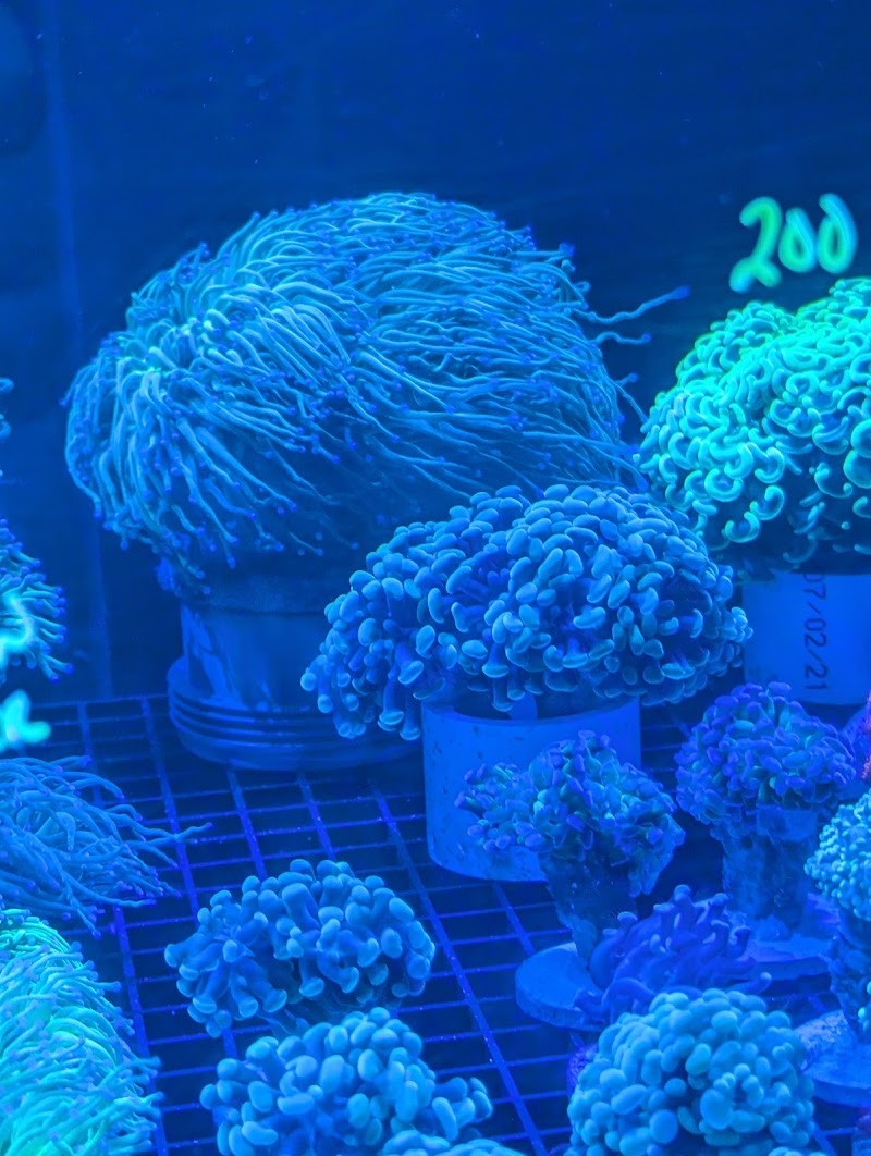 Modern Aquatix - Photo 3