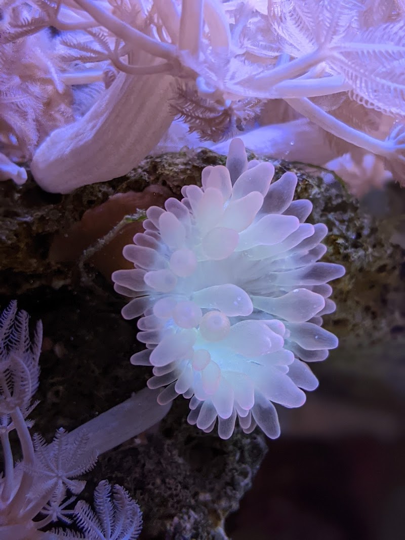 Modern Aquatix - Photo 4