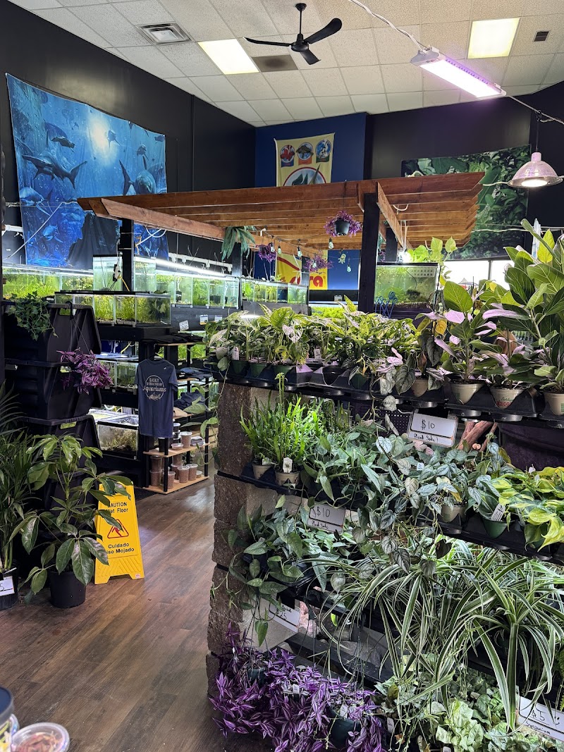 Fish Happens - Photo 2