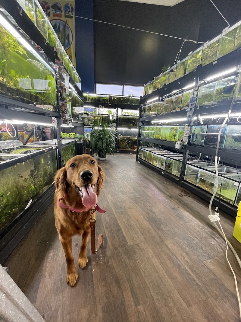 Fish Happens - Photo 3