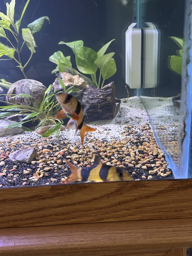 Fish Happens - Photo 4