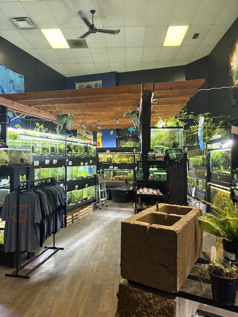 Fish Happens - Photo 5