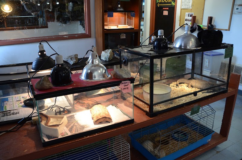 Night Stalkers Pet Emporium - Photo 2