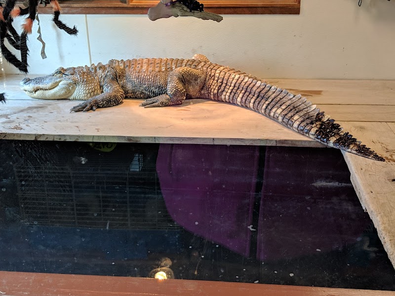 Night Stalkers Pet Emporium - Photo 3