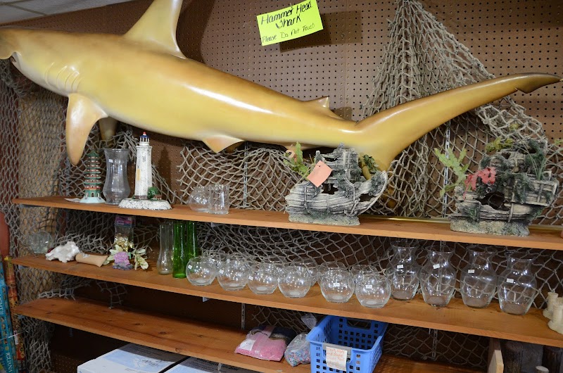 Night Stalkers Pet Emporium - Photo 5