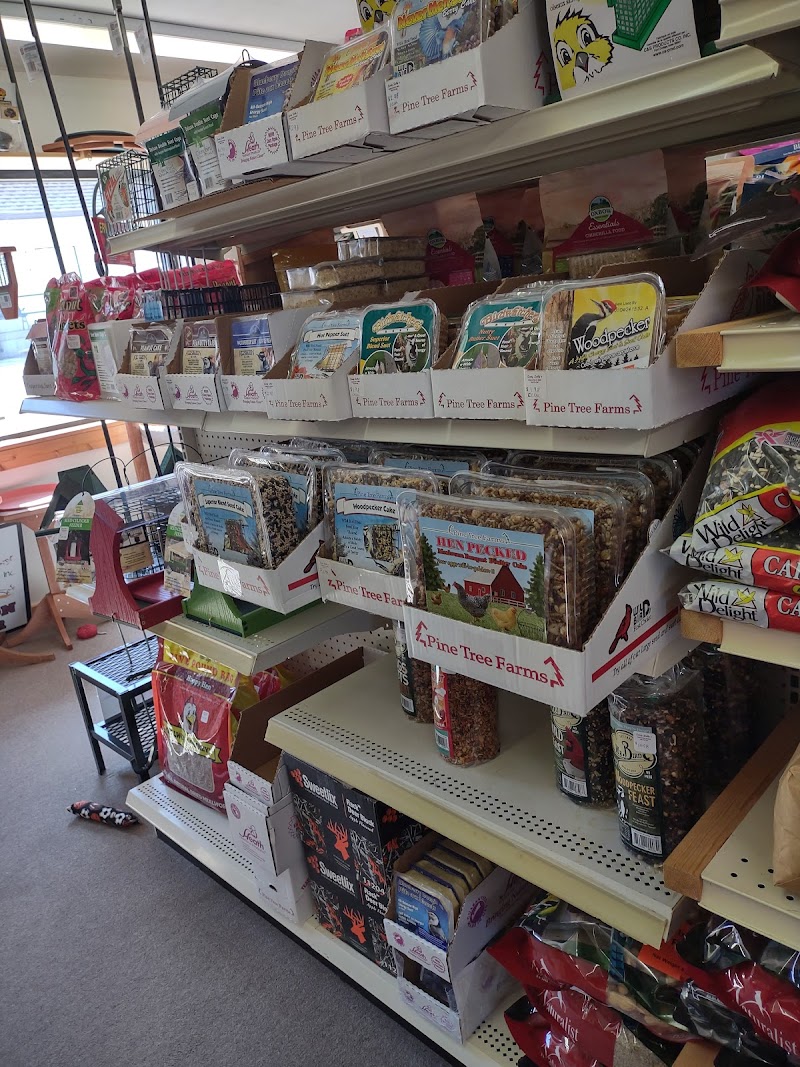 Seedy Sally's - Photo 1