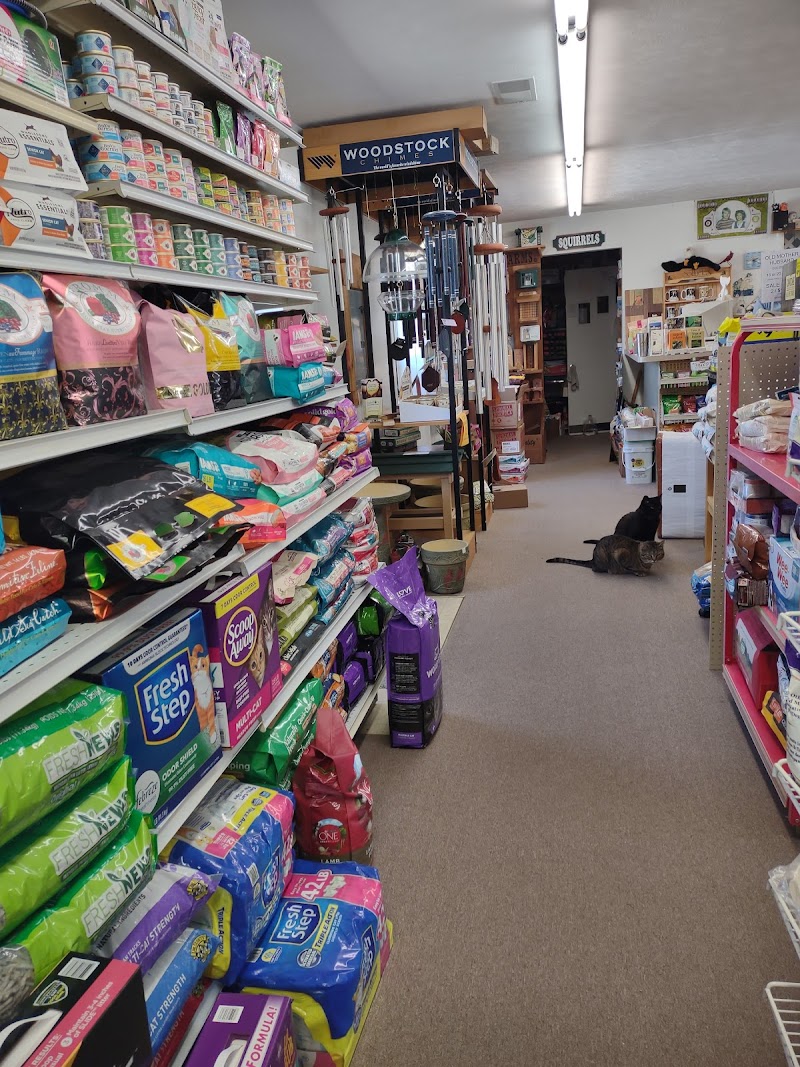 Seedy Sally's - Photo 2