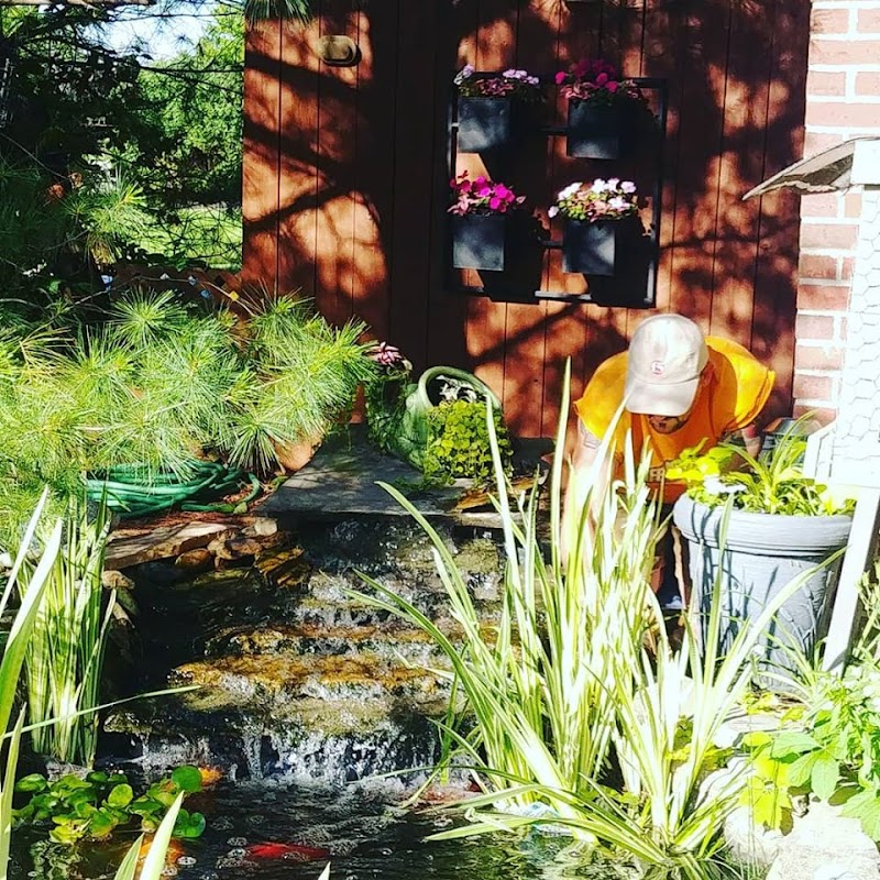 Goldfish Gardens - Photo 1