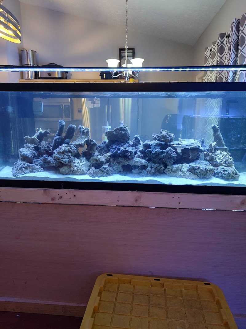 Premium Aquatics - Photo 4