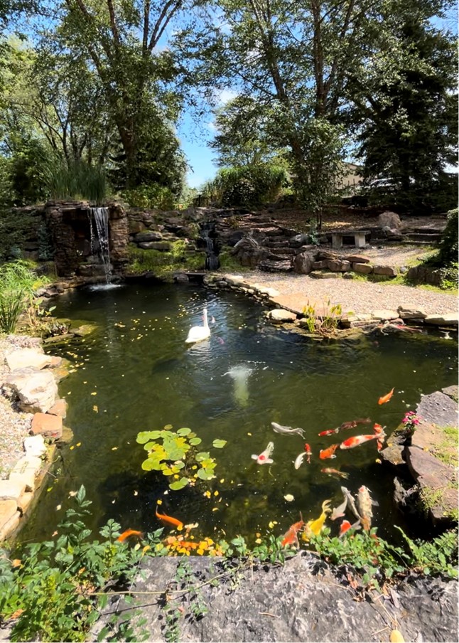 Aquatic Design & Supplies, Inc. - Photo 1