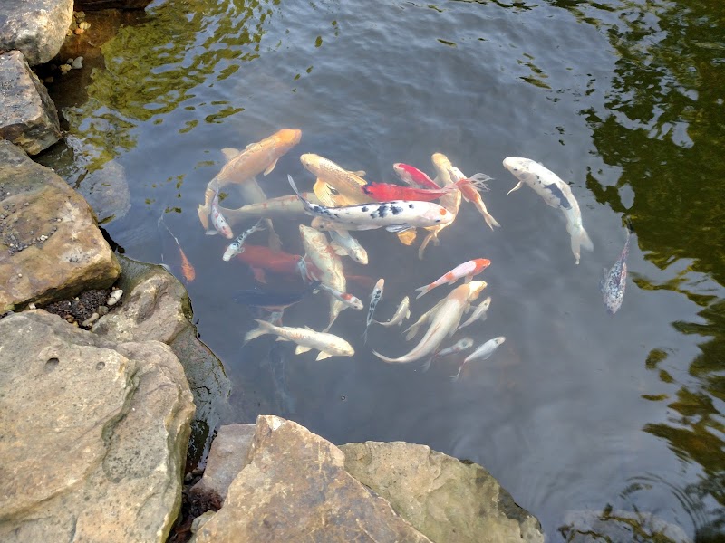 Aquatic Design & Supplies, Inc. - Photo 2