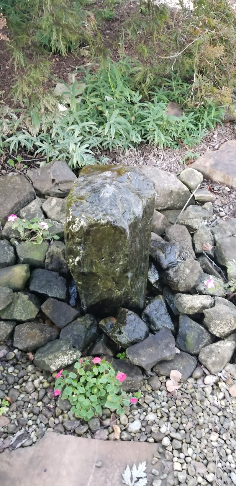 Aquatic Design & Supplies, Inc. - Photo 3