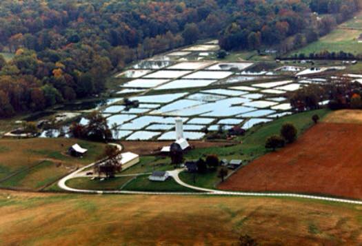 Clear Creek Fisheries, LLC - Photo 1