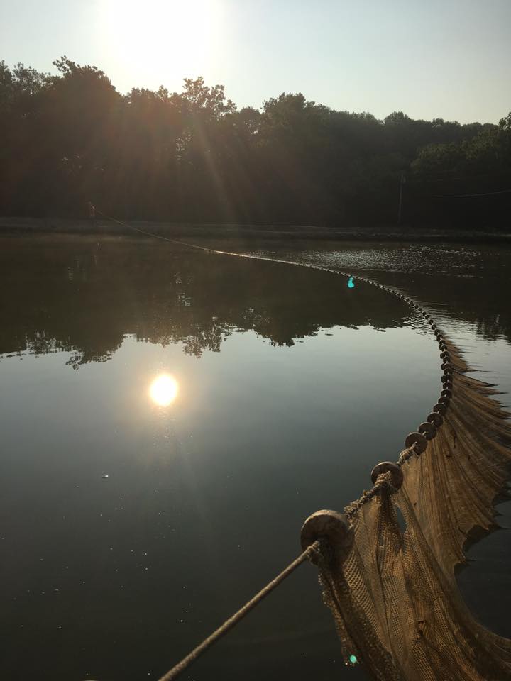 Clear Creek Fisheries, LLC - Photo 3