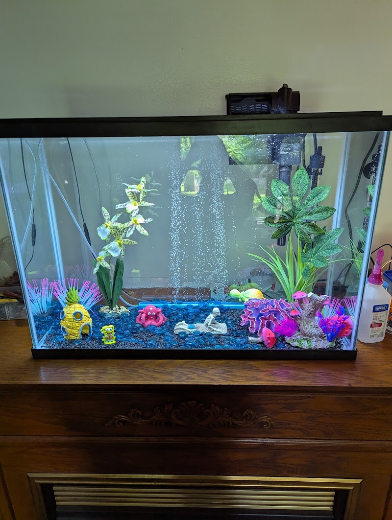 Purple Moon Aquatics LLC - Photo 2