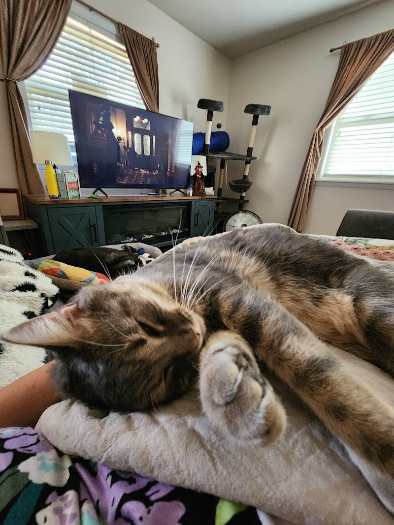 T&T Pet Food & Supply - Photo 4