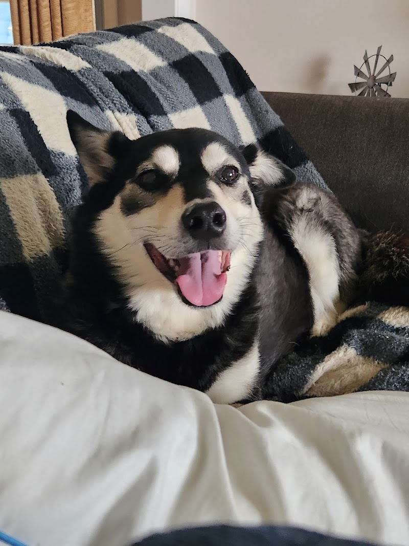 T&T Pet Food & Supply - Photo 5